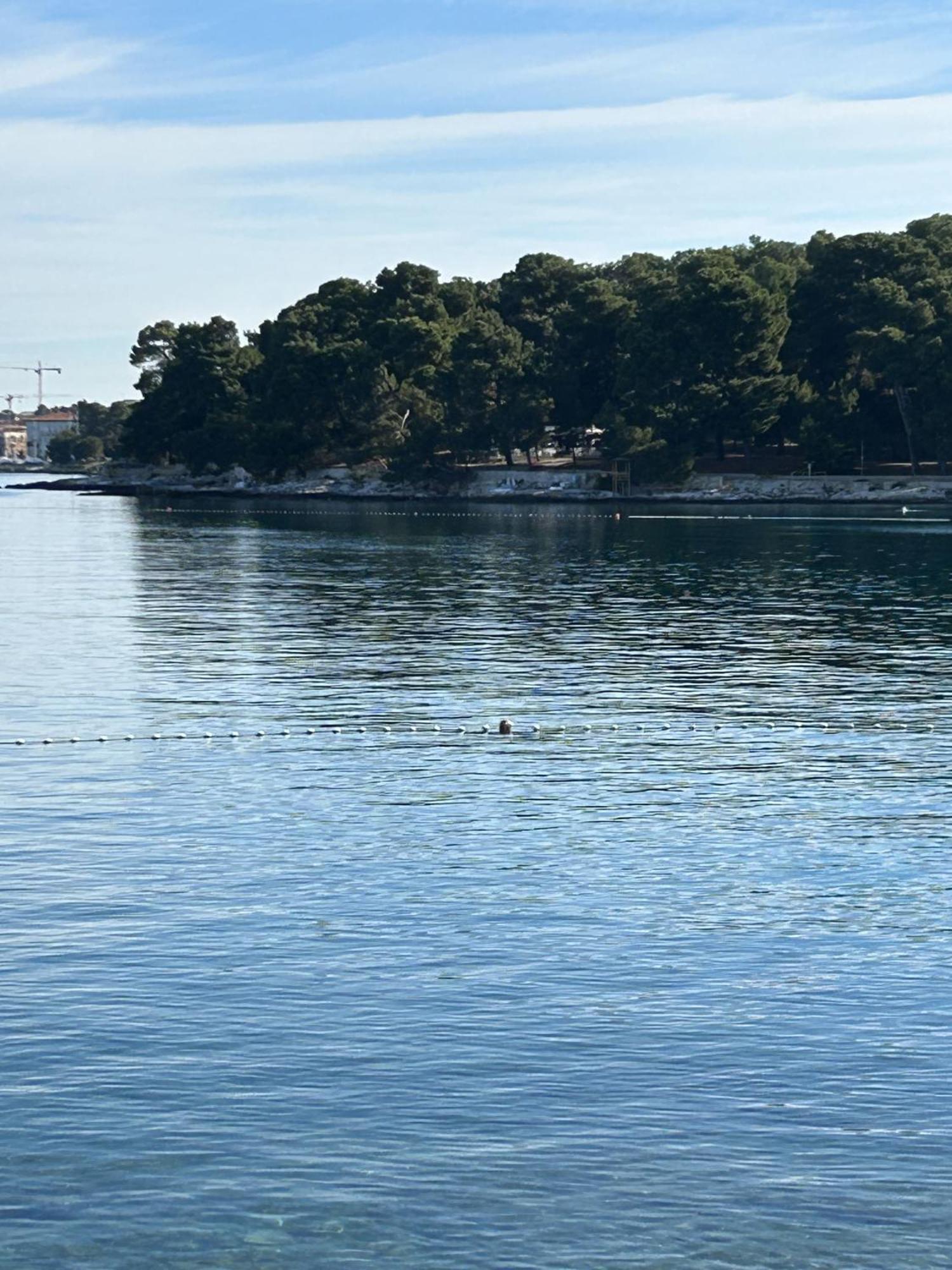 Apartment Merci Poreč